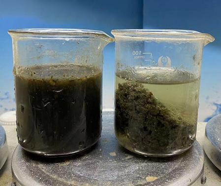 養豬場污泥脫水用陽離子絮凝劑